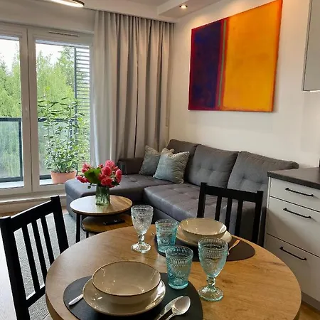 Apartament Dekerta Garaz, Duzy Taras, Smart Tv Gorzów Wielkopolski Exterior foto